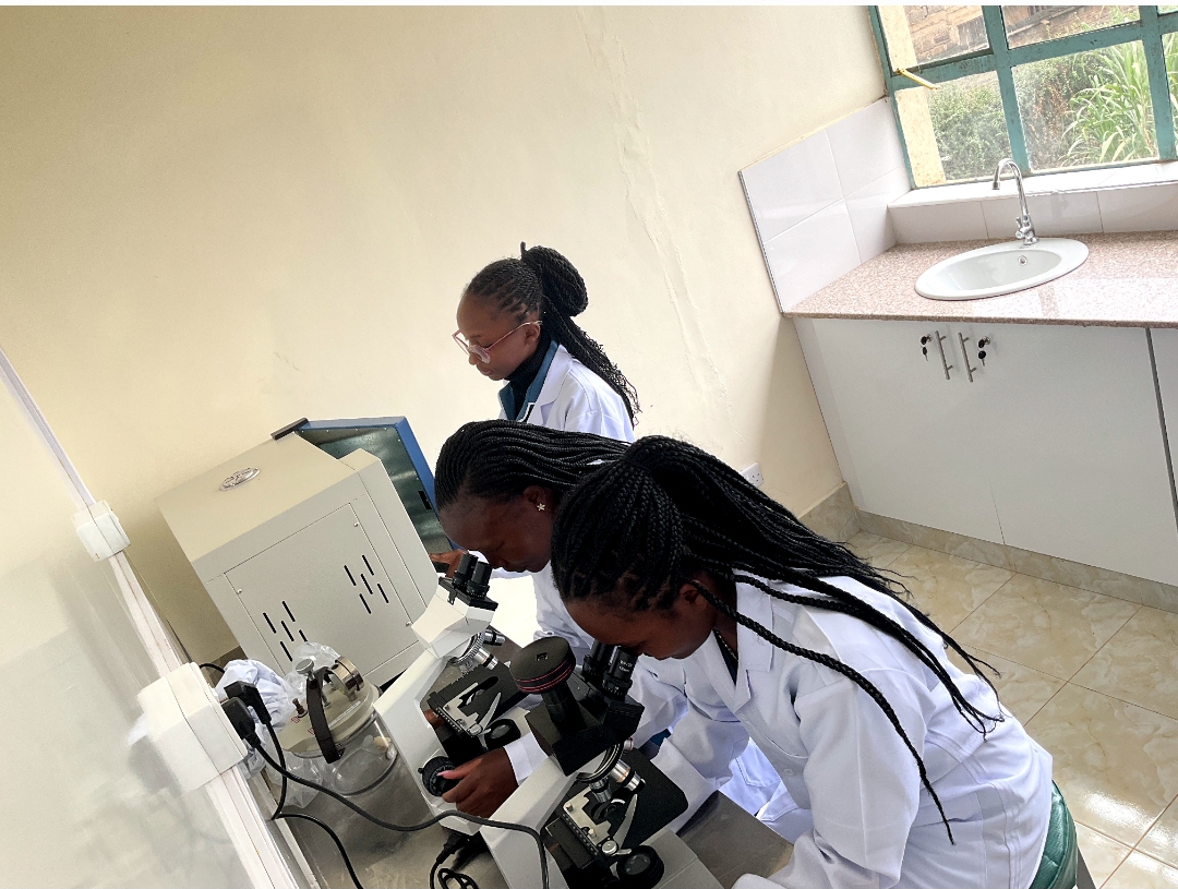 Diploma in Medical Laboratory Sciences at ST. FRANCIS MEDICAL TRAINING COLLEGE